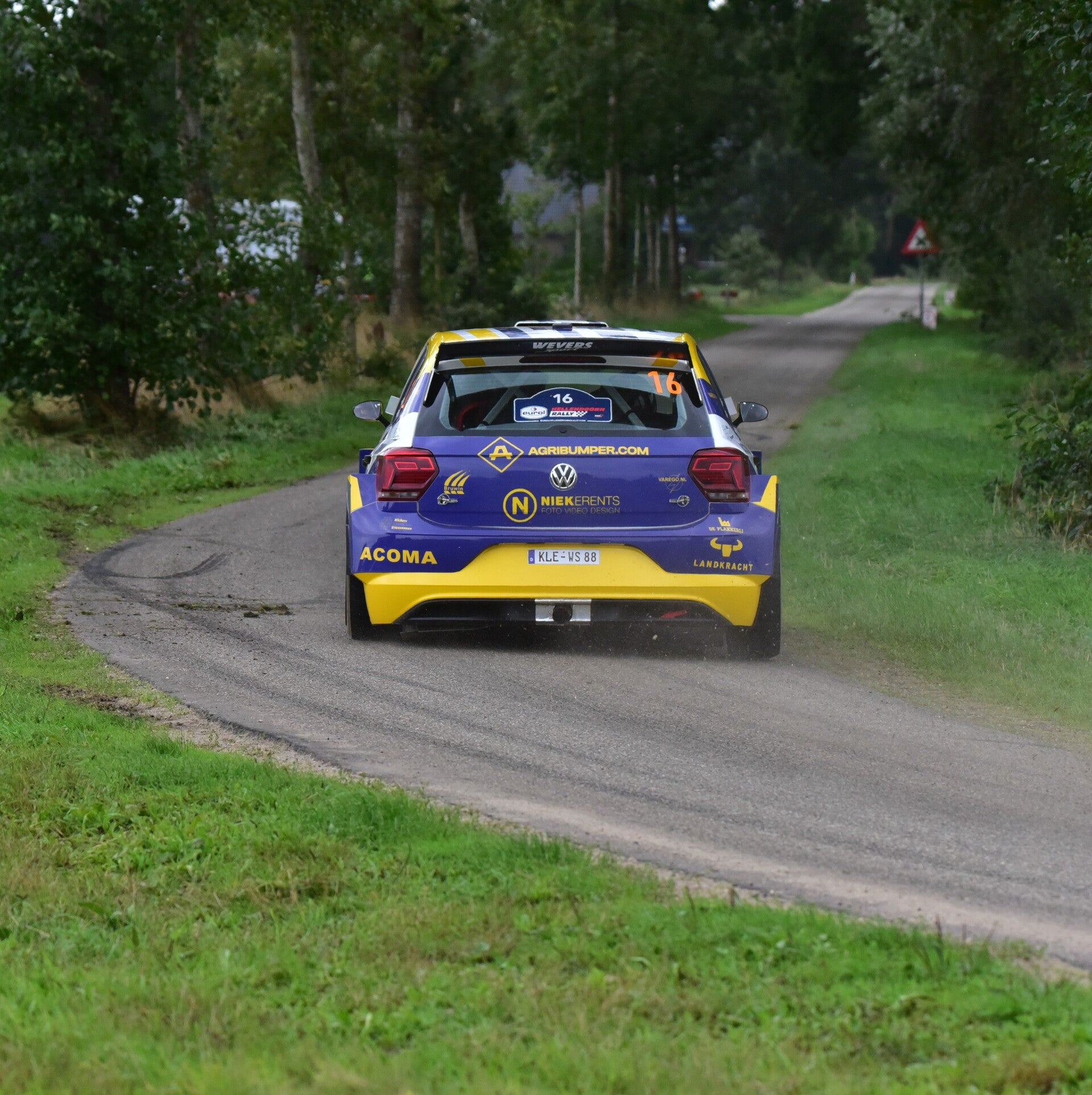 wee_9452-standard.jpg