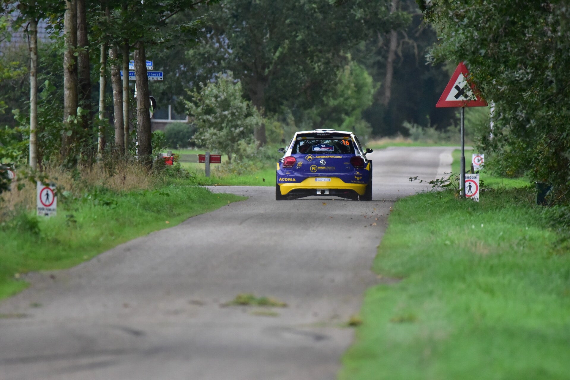 wee_9455-standard.jpg