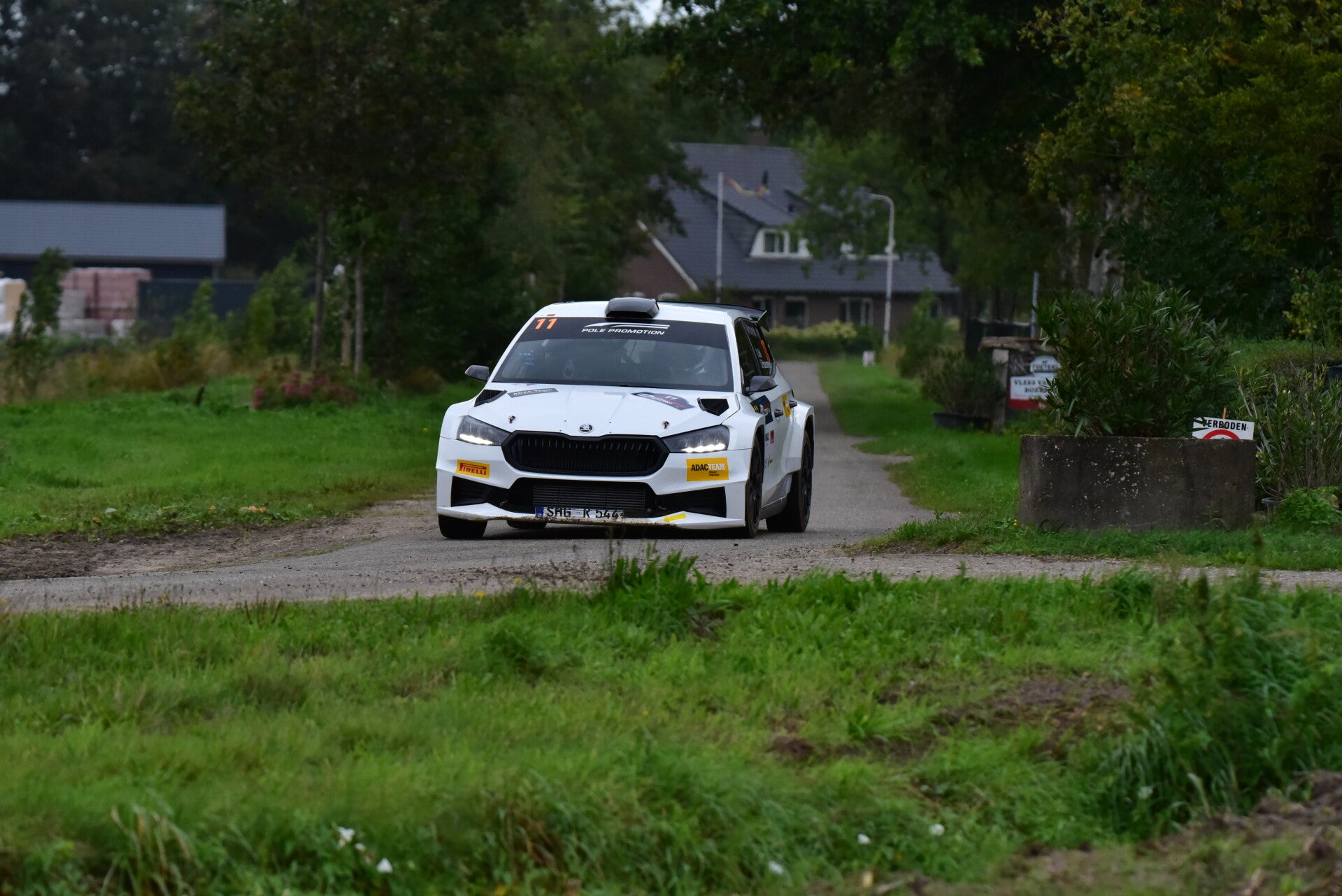 wee_9544-standard.jpg