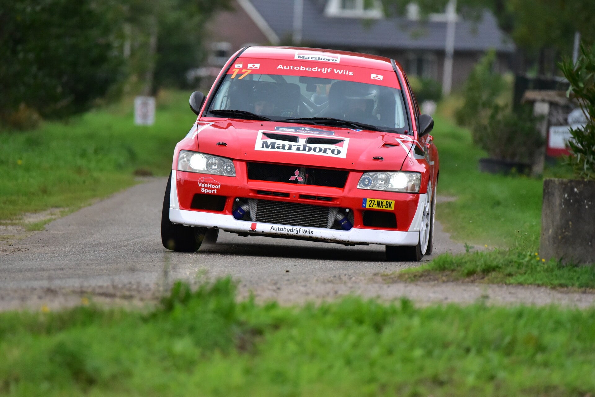 wee_9565-standard.jpg