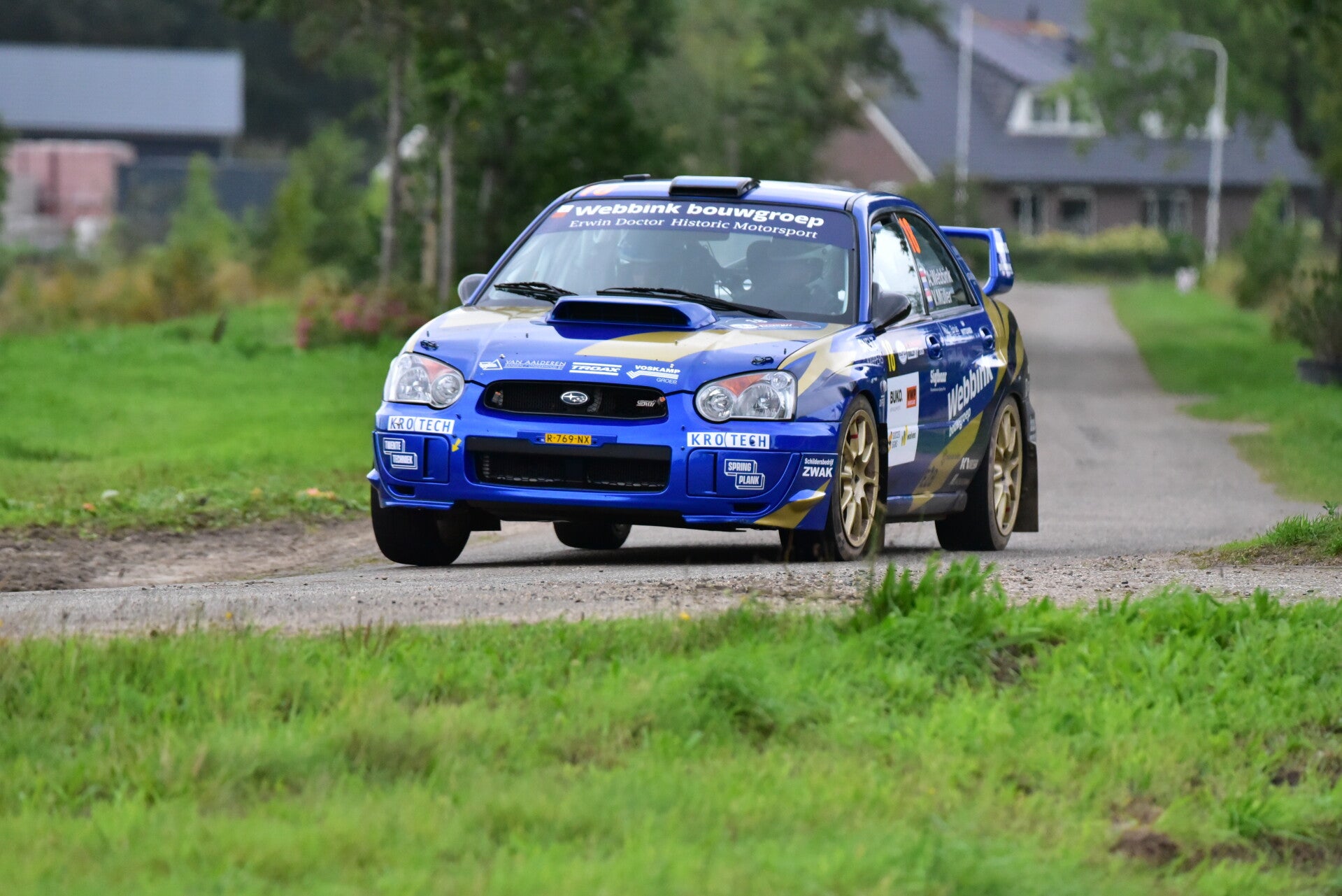 wee_9576-standard.jpg