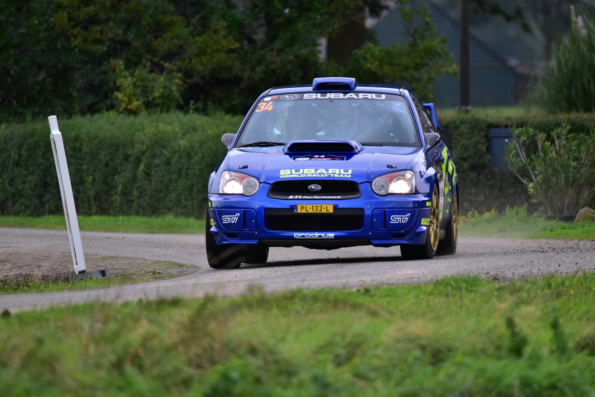 wee_9584-standard.jpg