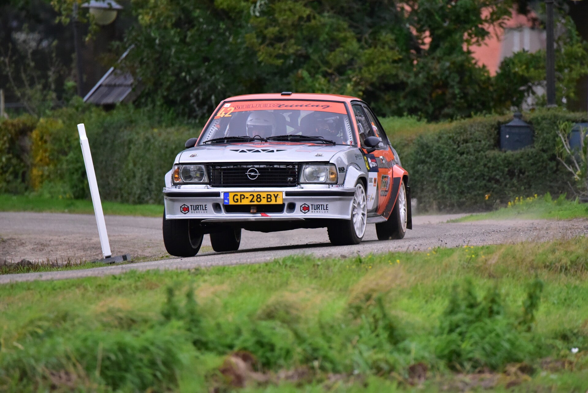 wee_9628-standard.jpg