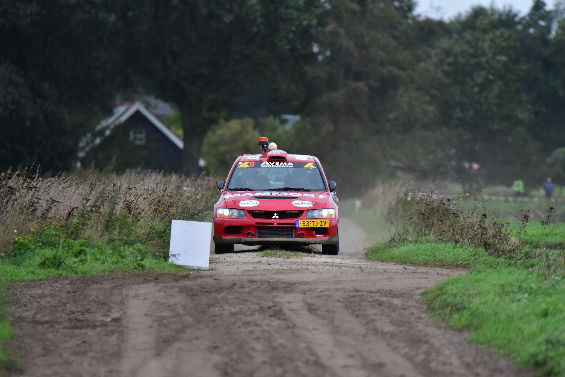 wee_9794-standard.jpg