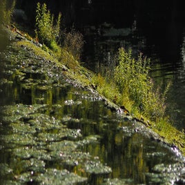 blautopf-4-4.jpg