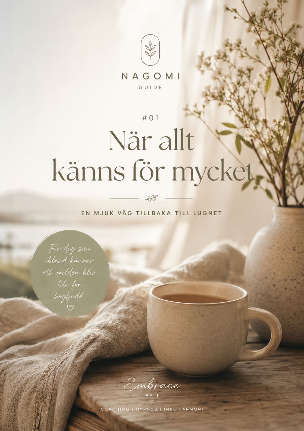 Nagomi Guide 1