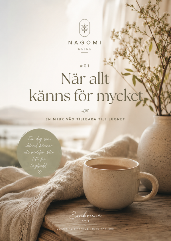 Nagomi Guide 1