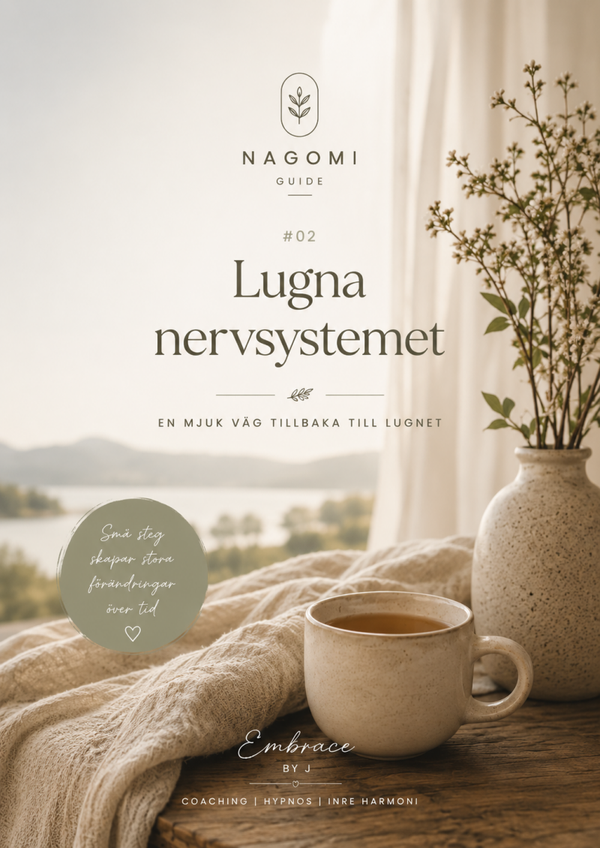 Nagomi Guide 2