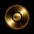 SPIN1