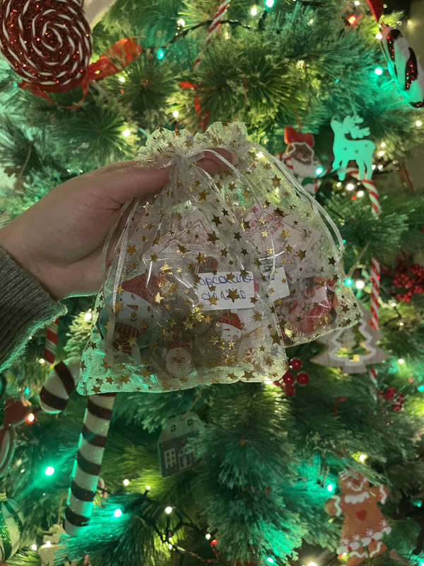 Petit sachet de Noël surprise