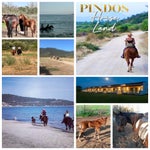 pindoshorseland-chalkidikiinfo-halkidiki-horseriding-11-standard.jpg