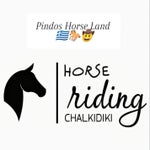 pindoshorseland-chalkidikiinfo-halkidiki-horseriding-6-standard.jpg