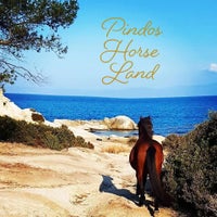 pindoshorseland-greece-chalkidiki-sykia-7-1-standard.jpg