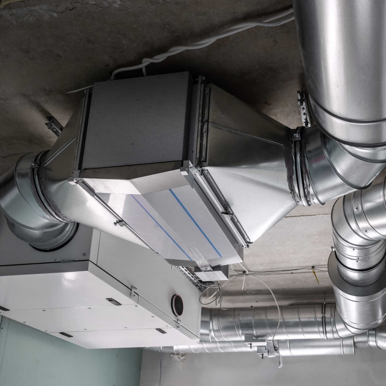 Ventilatie Lier, vochtproblemen en schimmel. oplossing voor renovatie