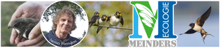 meinders ecologie