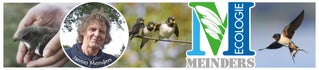 meinders ecologie