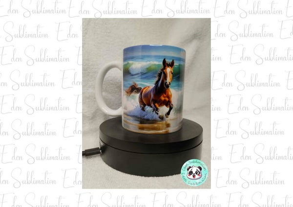 Cheval Plage