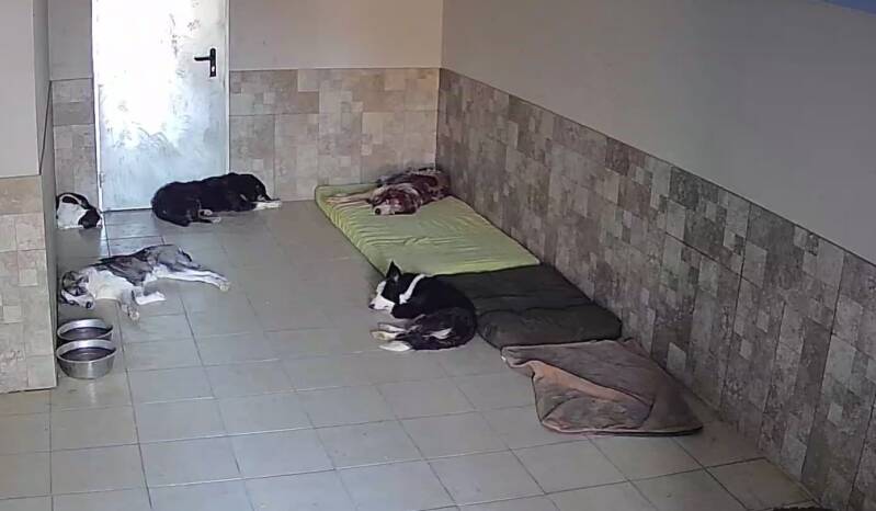 Moment repos pour tout le monde