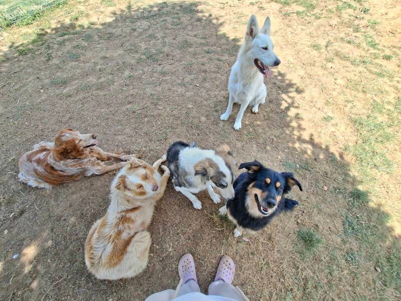 Photo de groupe