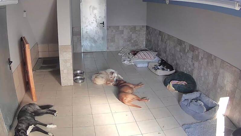 Repos pour tout le monde