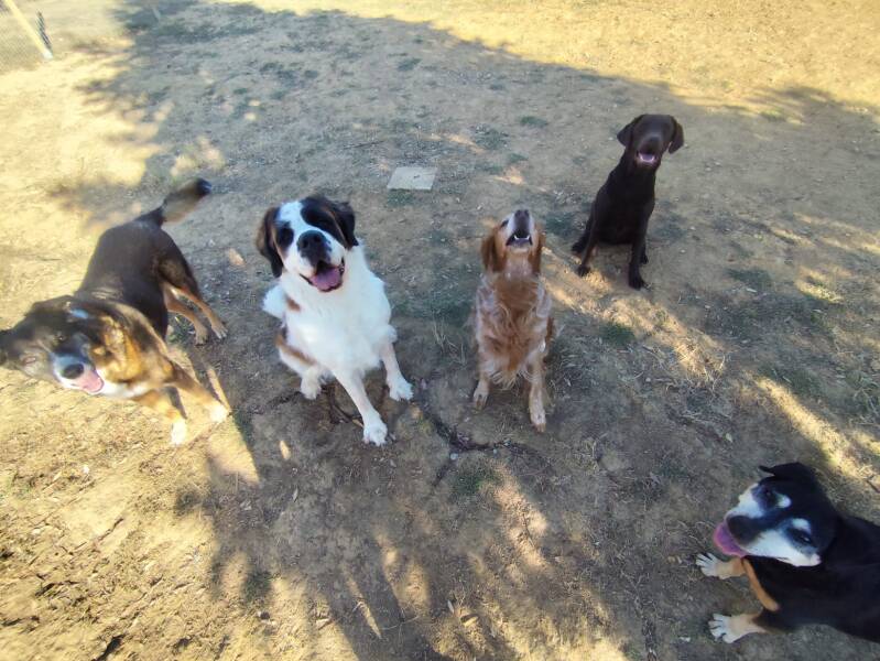 Photo de groupe