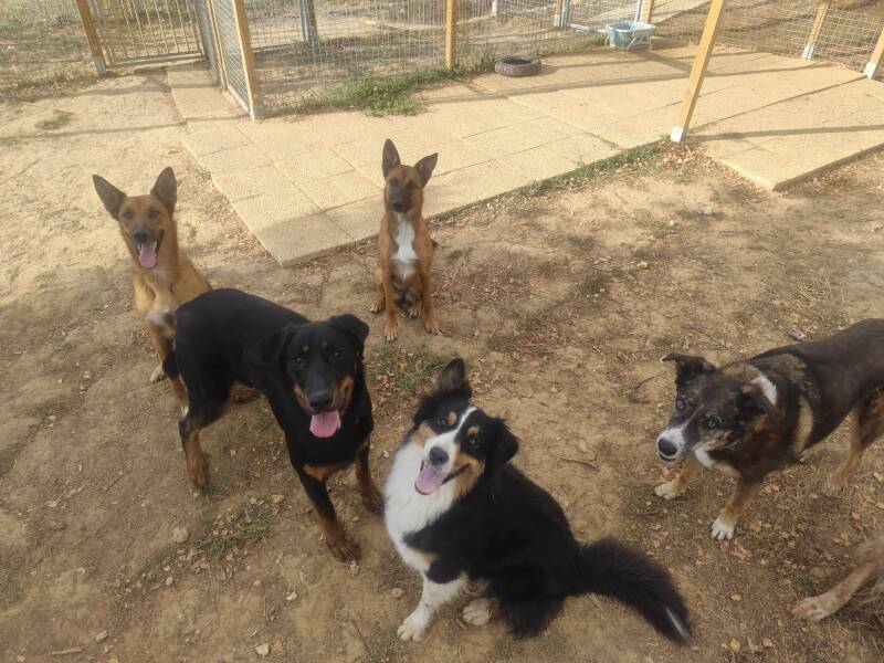 Photo de groupe