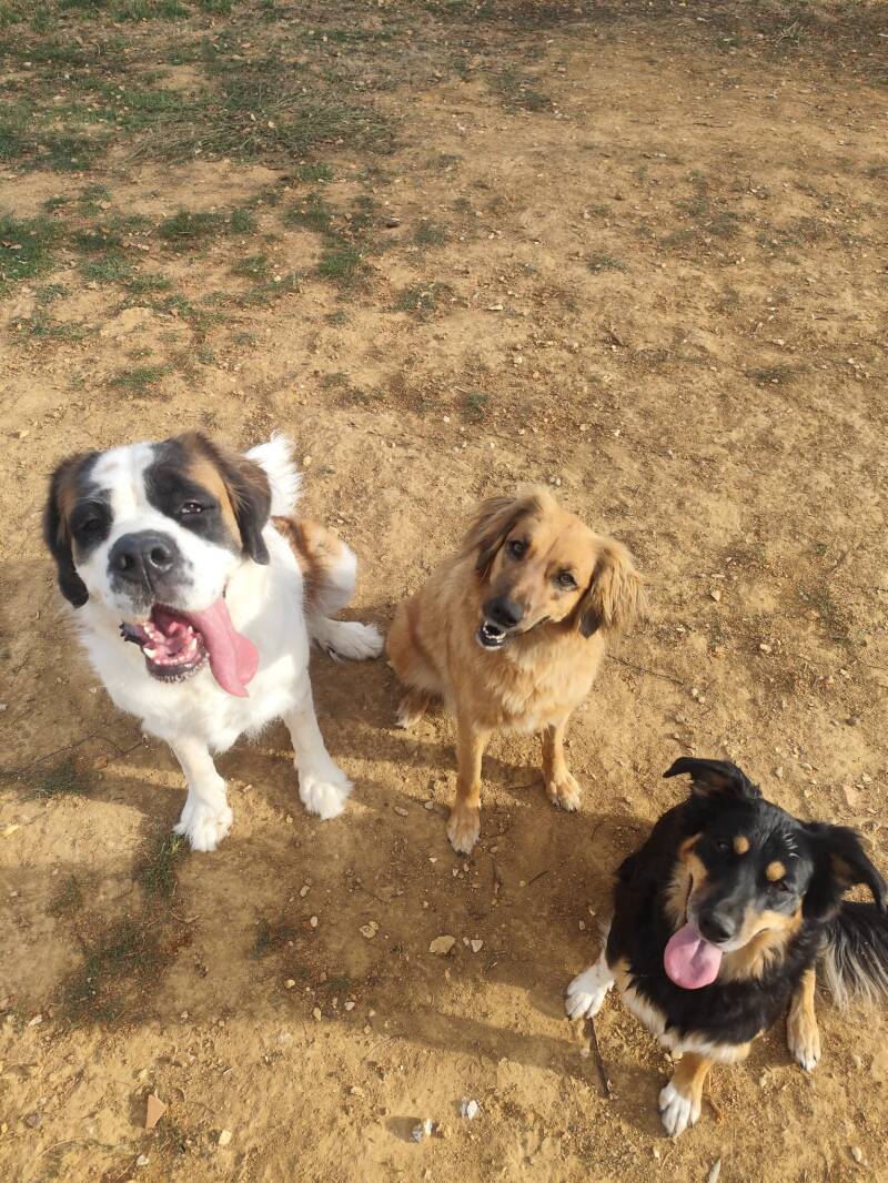 Pixel, Sissi et Nina