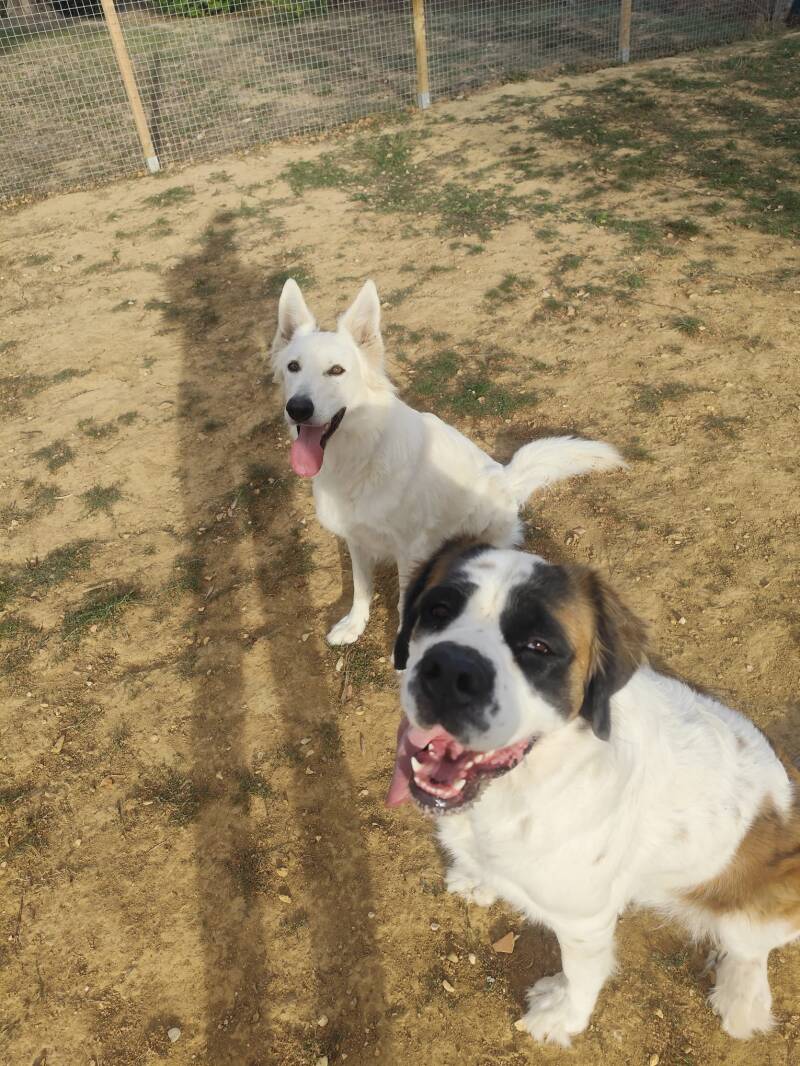 Ulka et Pixel