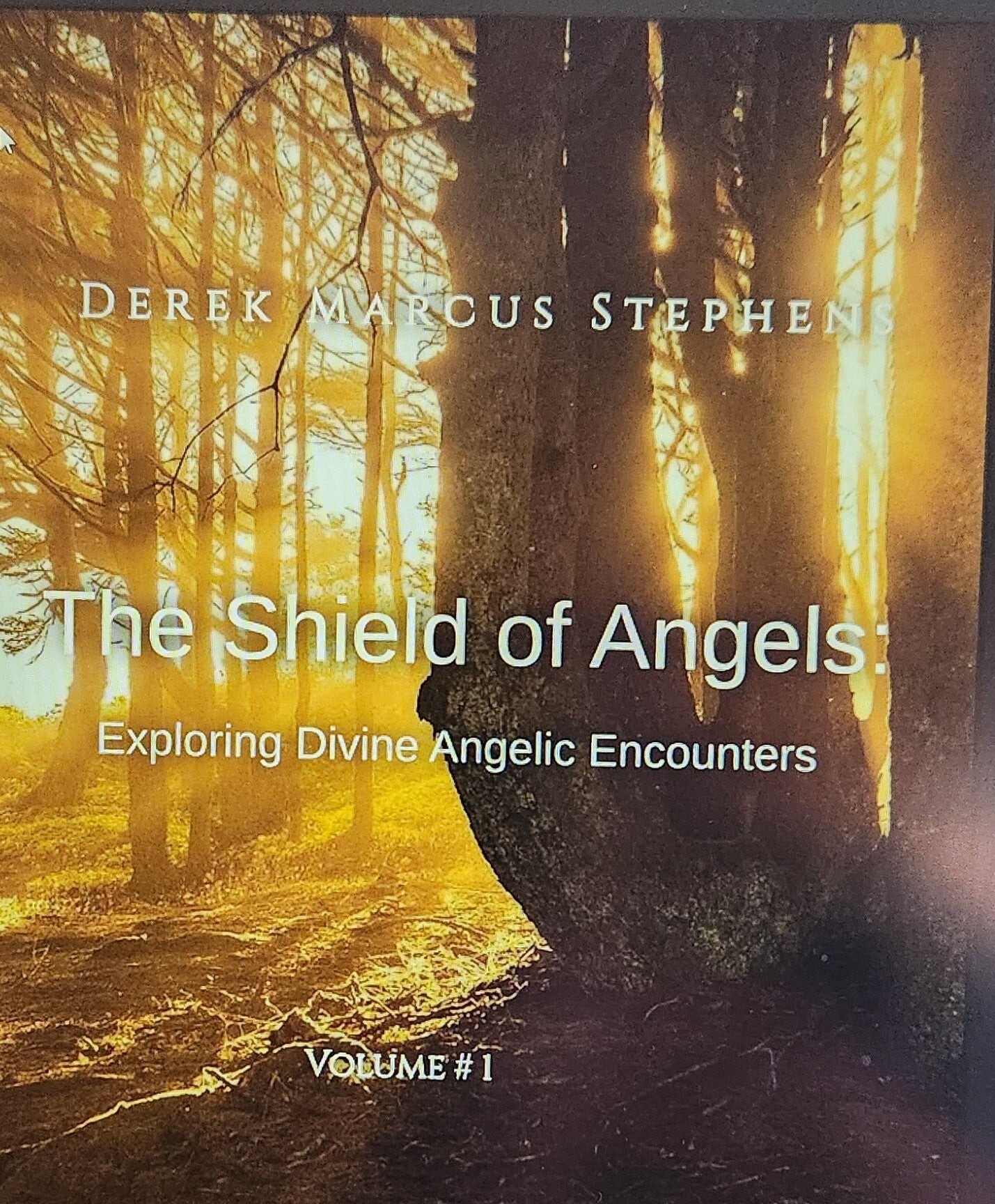Shield of Angels Vol 1
