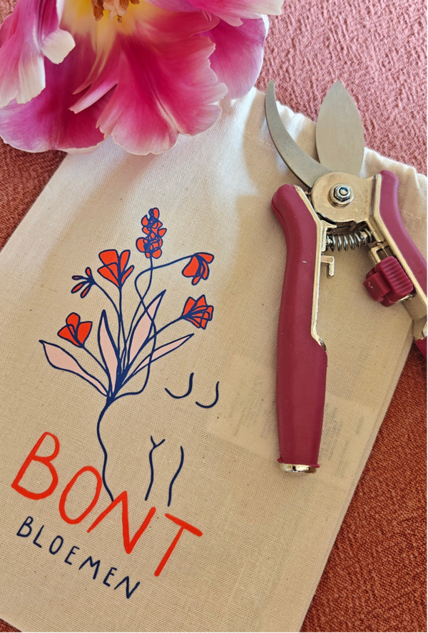 Zomerworkshop