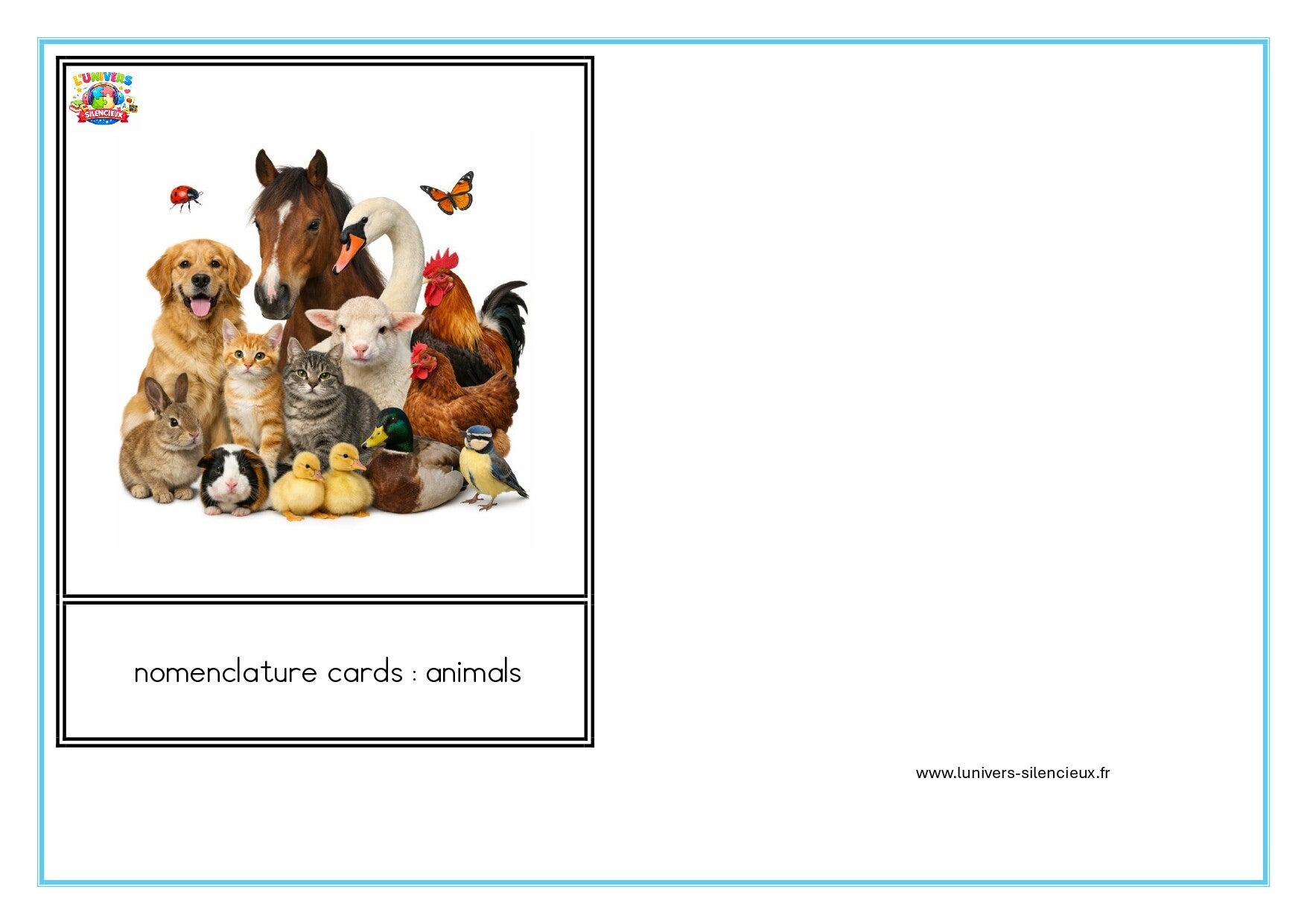 Animals nomenclature cards