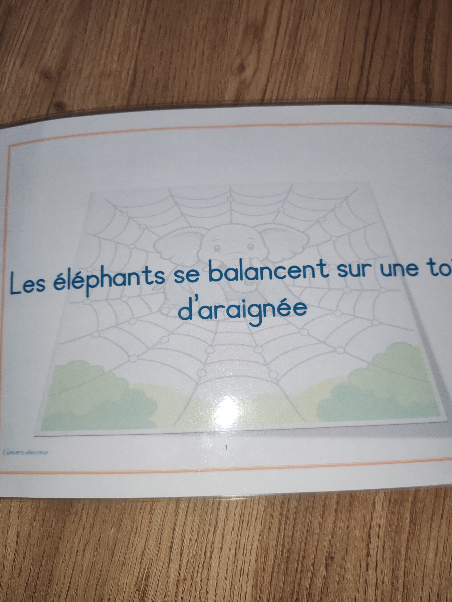 Livret les éléphants qui se balançaient