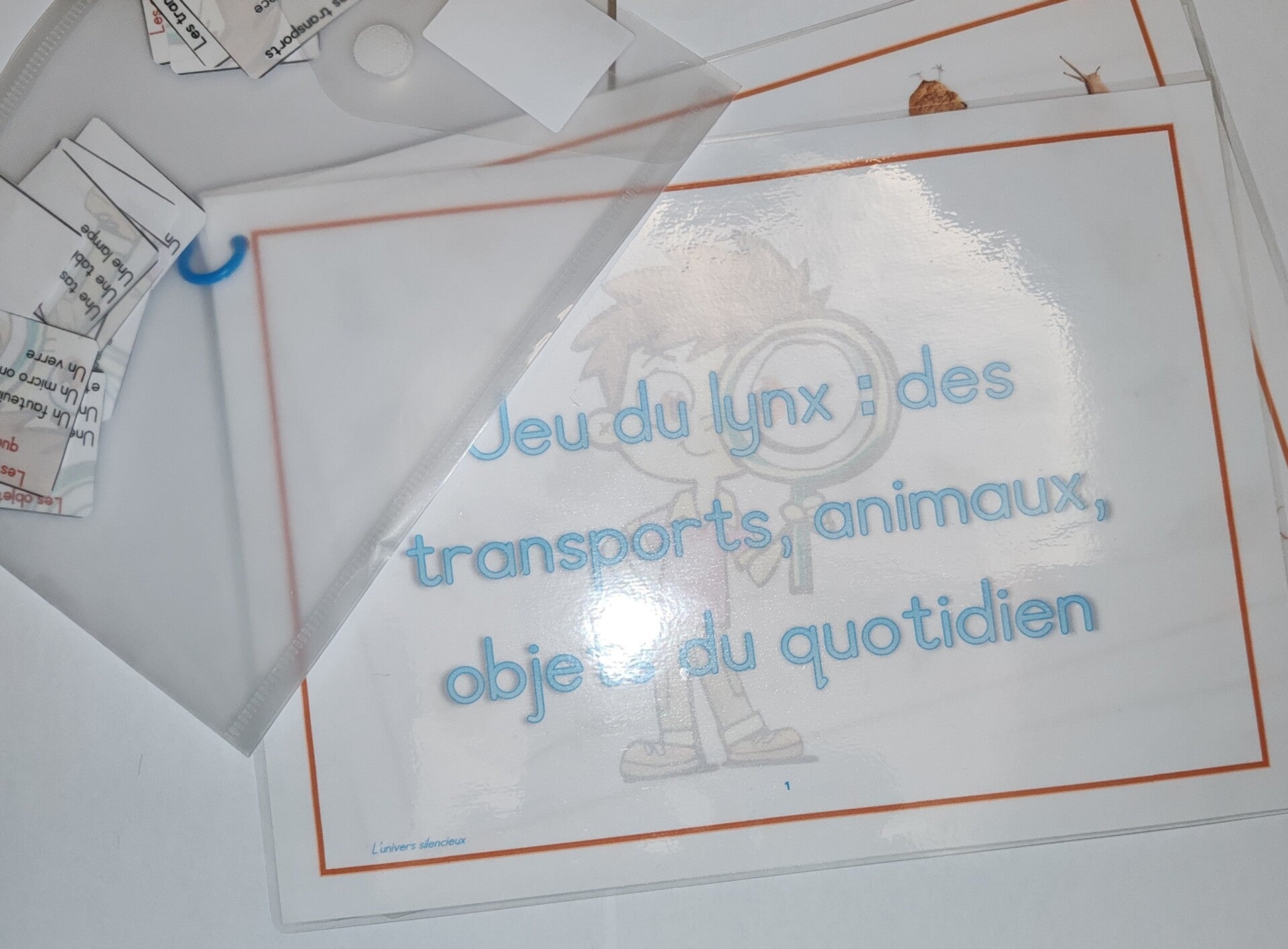 jeu du lynx (jeu d'observation)