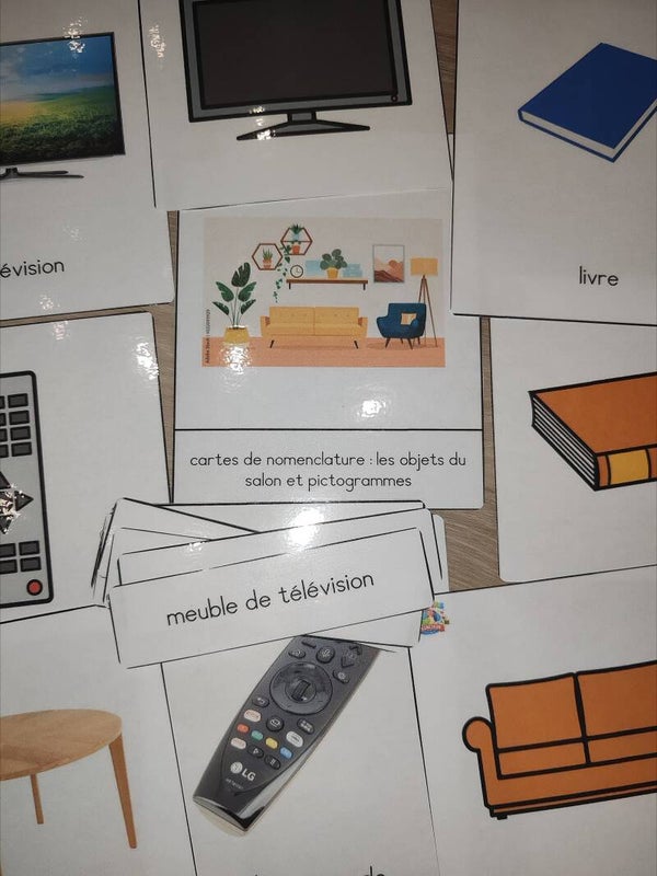 cartes Montessori - salon script - pictogrammes