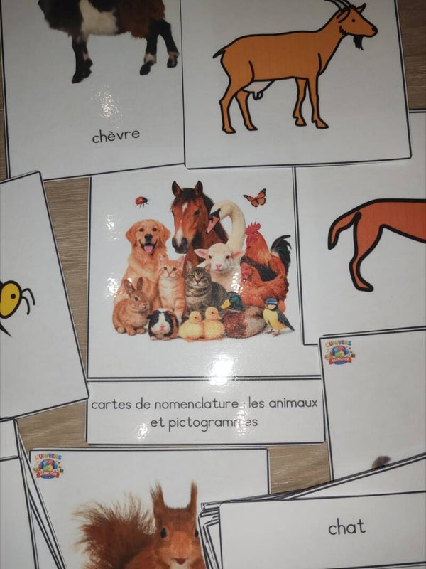 carte Montessori - animaux script- pictogrammes