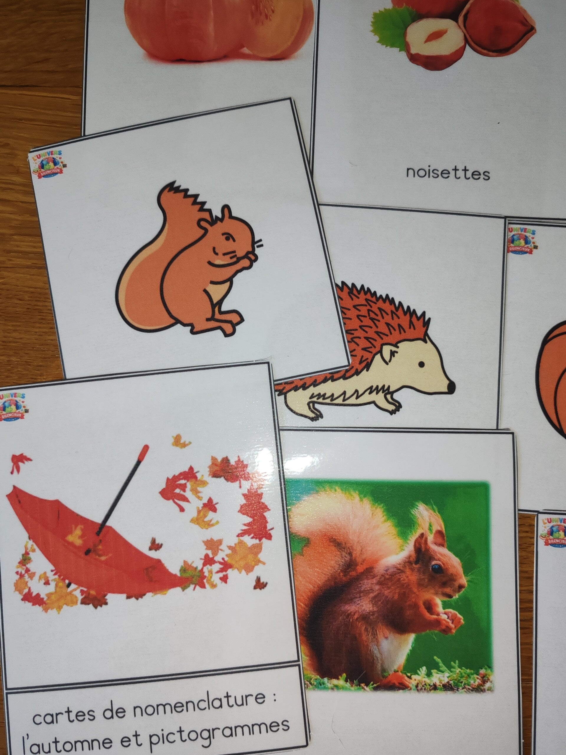 Cartes l'automne et pictogrammes