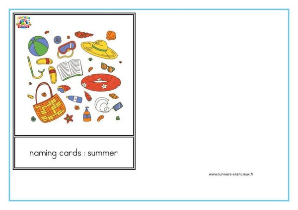 naming cards summer (cartes de nomenclature été en anglais)