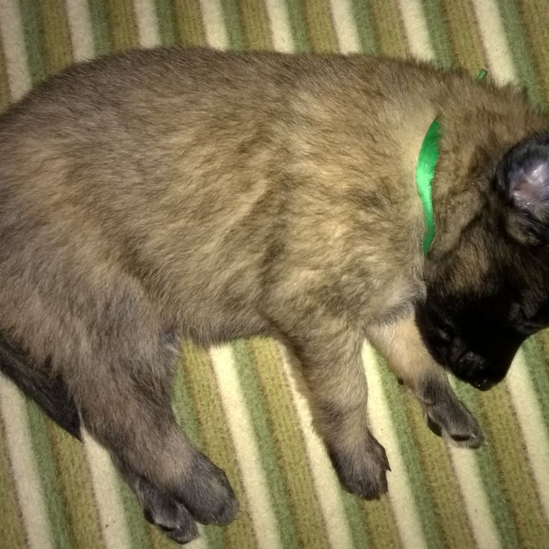 WP_20161004_090-1.jpg
