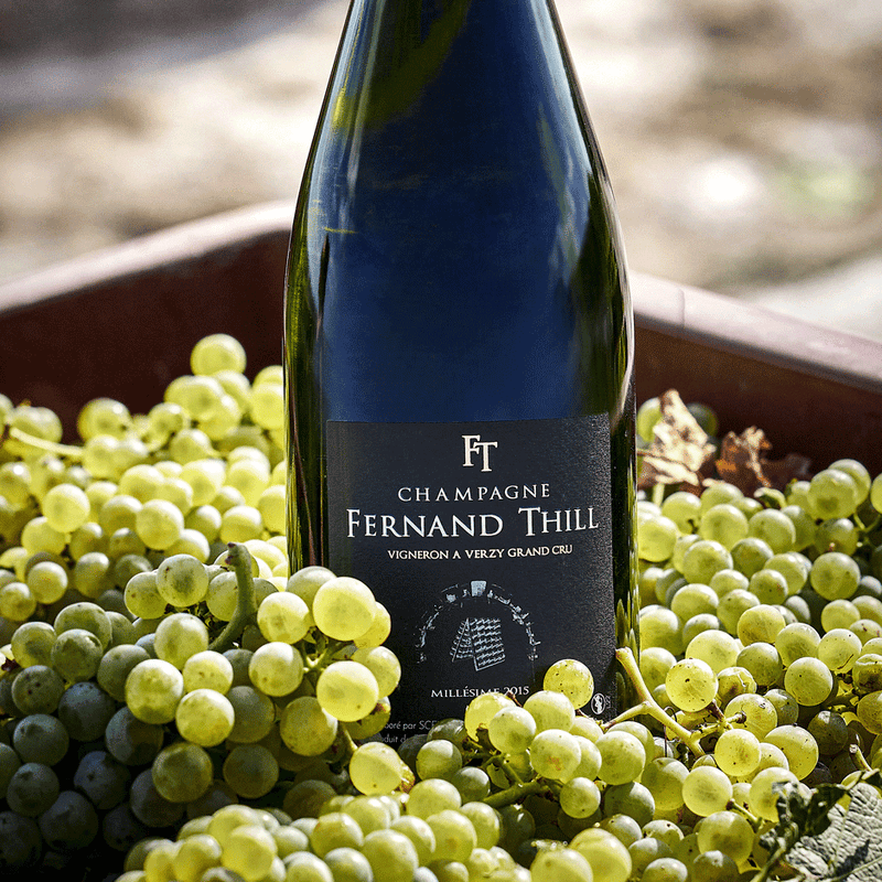 thill-millesieme-2015-2-standard.png