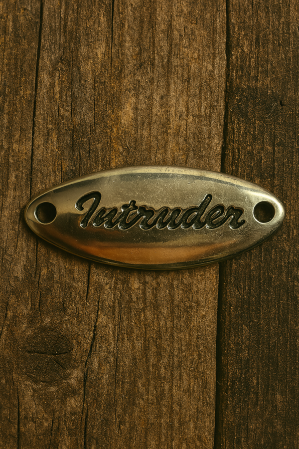 Metalen Plaatje "Intruder" – Ovaal, Verchroomd (5 x 2 cm)