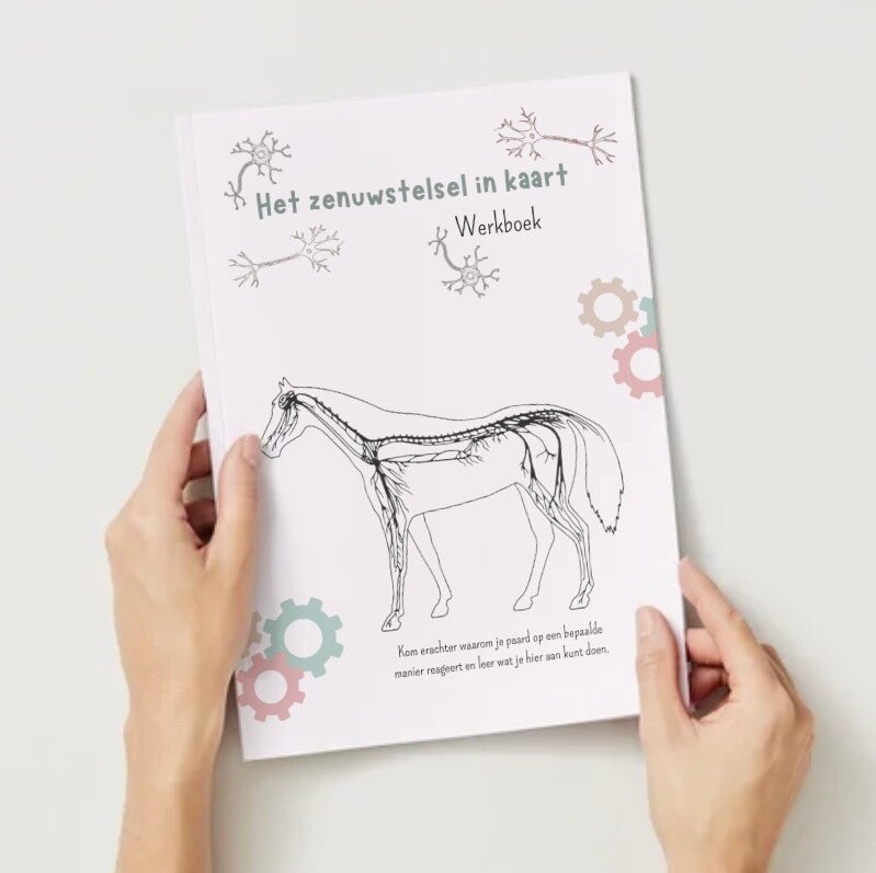 Het zenuwstelsel in kaart werkboek