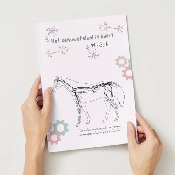 Het zenuwstelsel in kaart werkboek