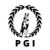Pgi-securite.com