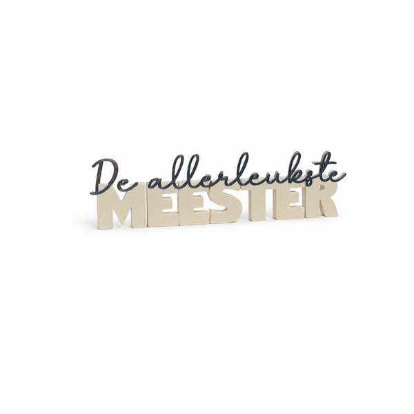 De allerleukste meester