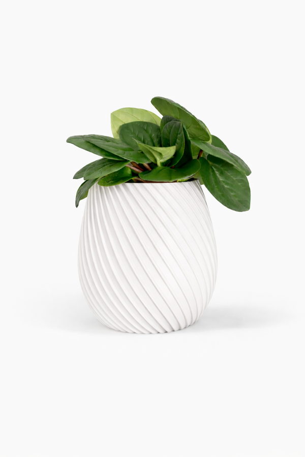 Bloempot Coco