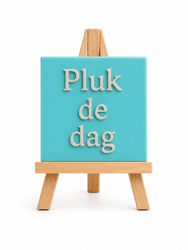 Tegeltje Pluk de dag