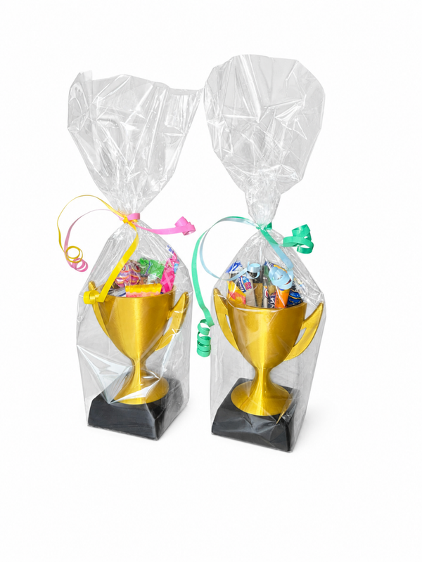 Avondvierdaagse Troffee