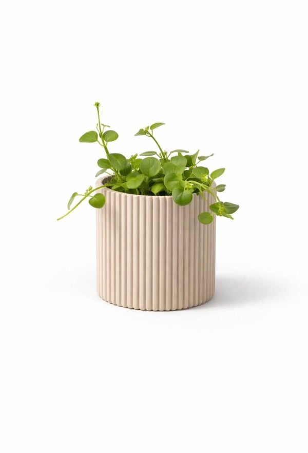 Bloempot Lili
