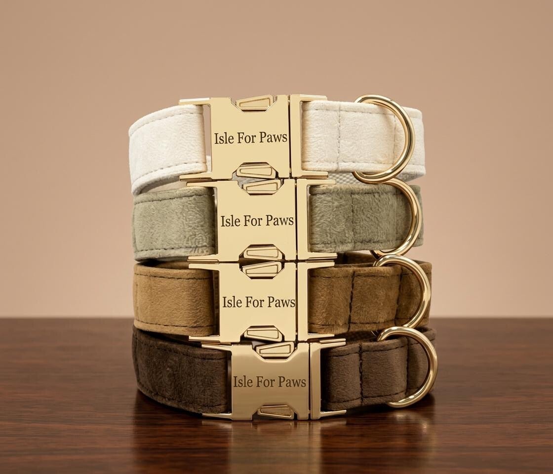 Elegant Suede Collar