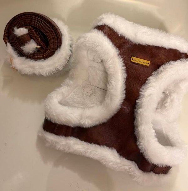 Cozy Leather Harness